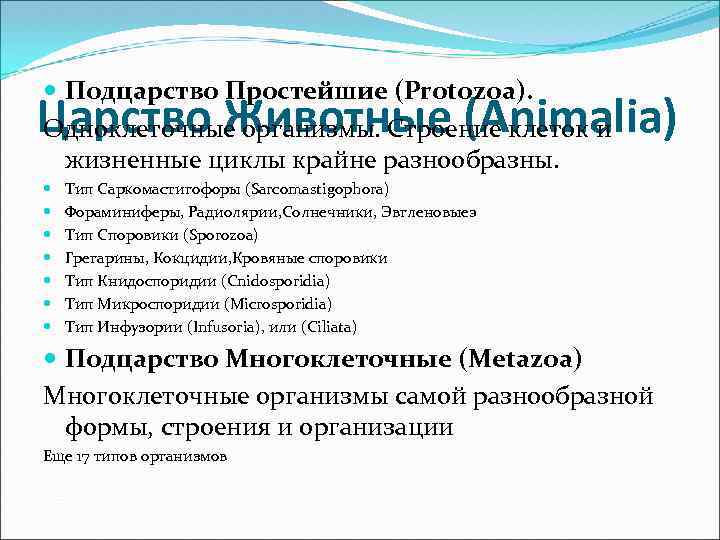  Подцарство Простейшие (Protozoa). Одноклеточные организмы. Строение клеток и жизненные циклы крайне разнообразны. Царство