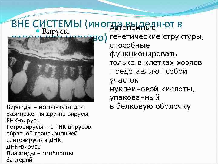 ВНЕ СИСТЕМЫ (иногда выделяют в Автономные Вирусы отдельное царство) генетические структуры, Вироиды – используют