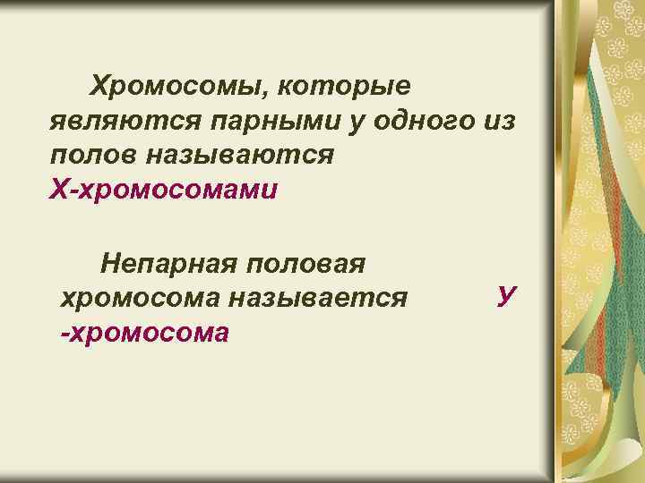 Хромосомы, которые являются парными у одного из полов называются Х-хромосомами Непарная половая хромосома называется