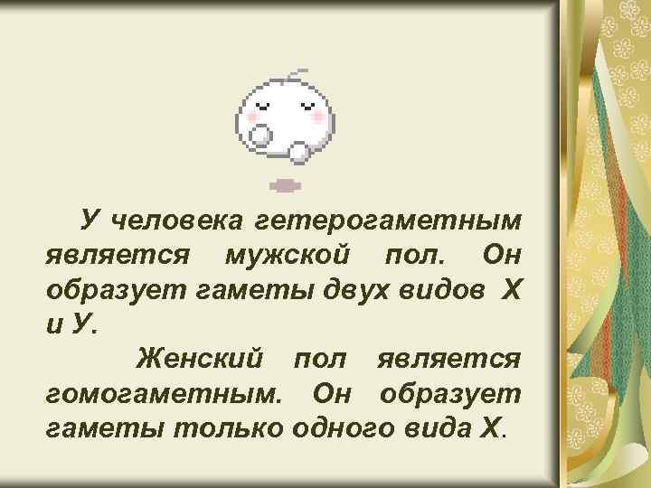 У человека гетерогаметным является мужской пол. Он образует гаметы двух видов Х и У.