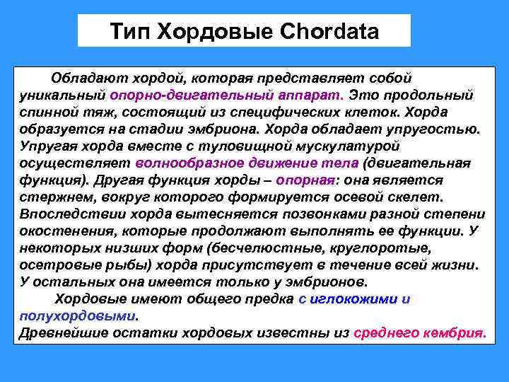 Тип Хордовые Chordata Обладают хордой, которая представляет собой уникальный опорно-двигательный аппарат. Это продольный спинной