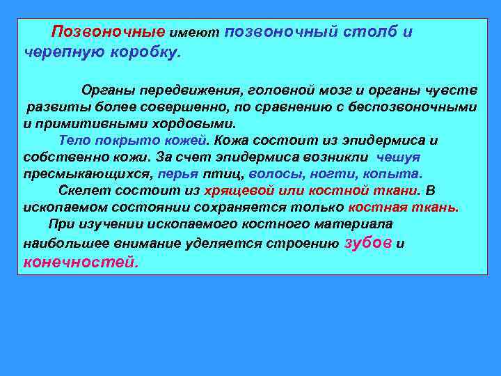 Позвоночные имеют позвоночный столб и черепную коробку. Органы передвижения, головной мозг и органы чувств