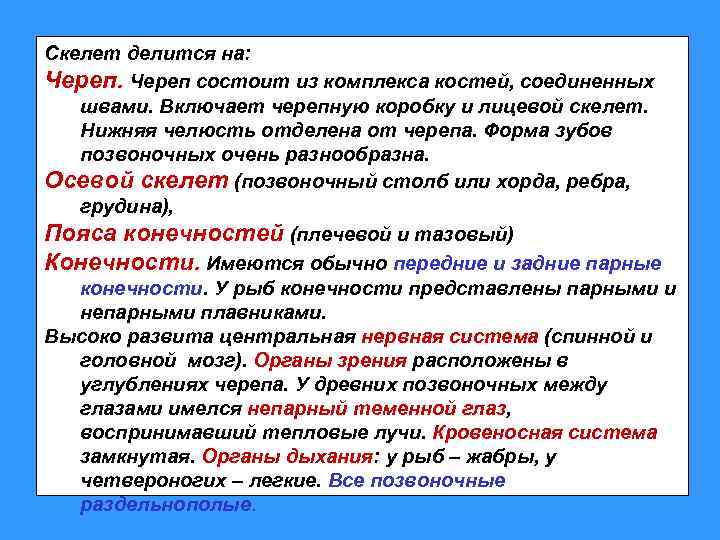 Скелет делится на: Череп состоит из комплекса костей, соединенных швами. Включает черепную коробку и