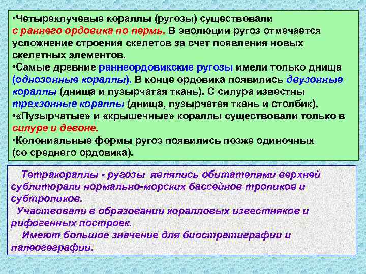  • Четырехлучевые кораллы (ругозы) существовали с раннего ордовика по пермь. В эволюции ругоз