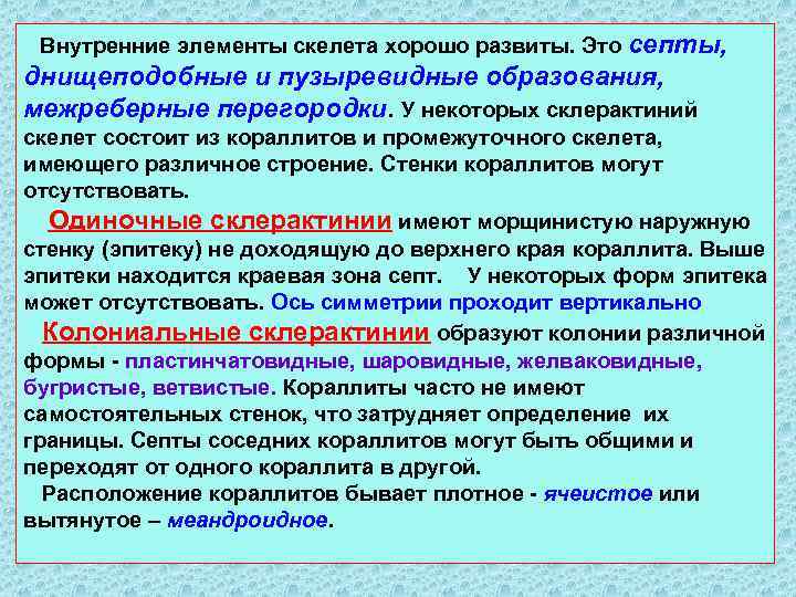 Внутренние элементы скелета хорошо развиты. Это септы, днищеподобные и пузыревидные образования, межреберные перегородки. У