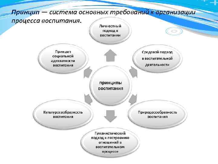 Принцип — система основных требований к организации процесса воспитания. 