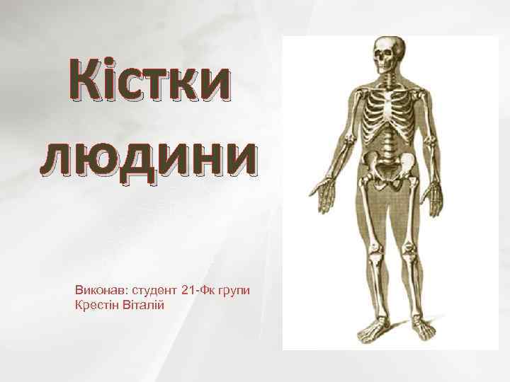 Кістки людини Виконав: студент 21 -Фк групи Крестін Віталій 