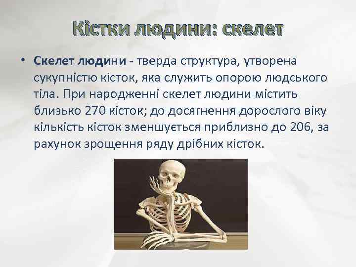 Кістки людини: скелет • Скелет людини - тверда структура, утворена сукупністю кісток, яка служить