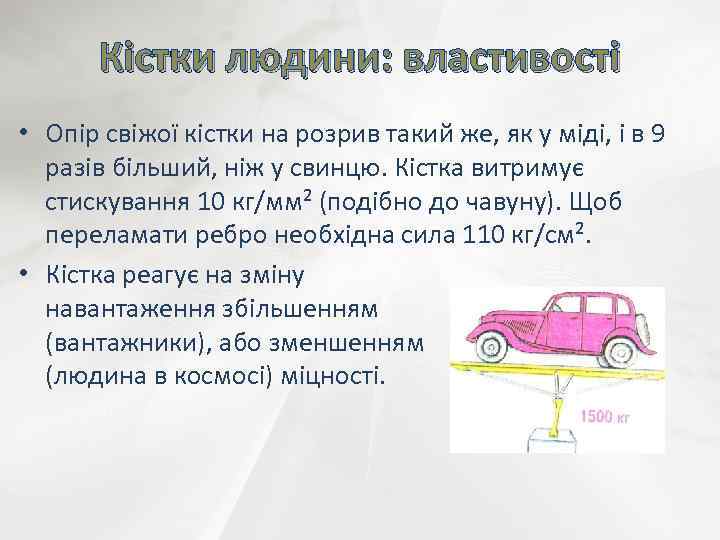 Кістки людини: властивості • Опір свіжої кістки на розрив такий же, як у міді,