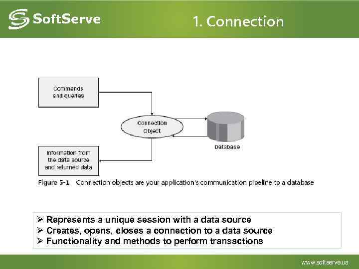 1. Сonnection Ø Represents a unique session with a data source Ø Creates, opens,