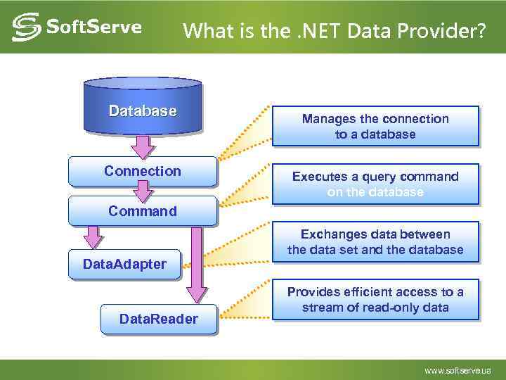 What is the. NET Data Provider? Database Connection Manages the connection to a database