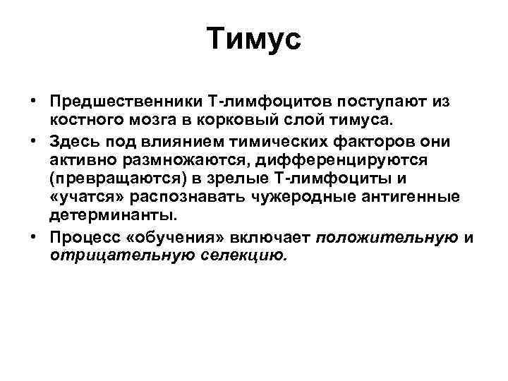 Тимус • Предшественники Т-лимфоцитов поступают из костного мозга в корковый слой тимуса. • Здесь