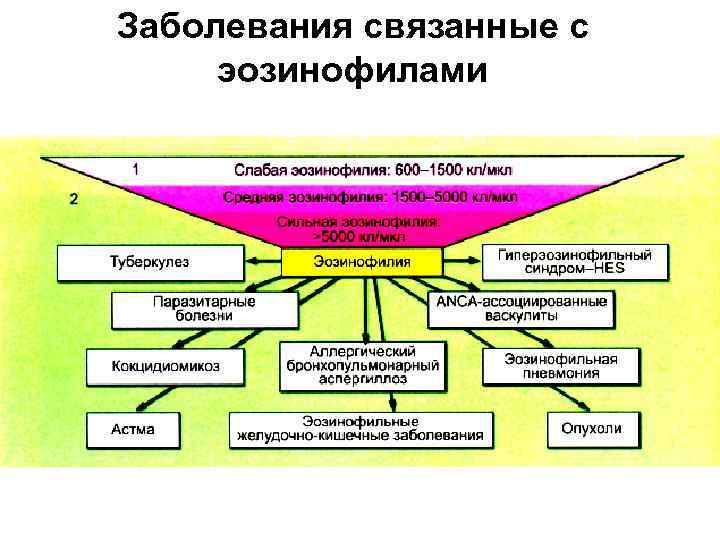 Заболевания связанные с эозинофилами 