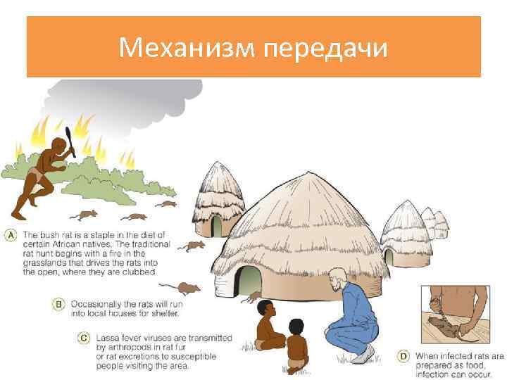 Механизм передачи 