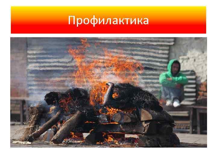 Профилактика 