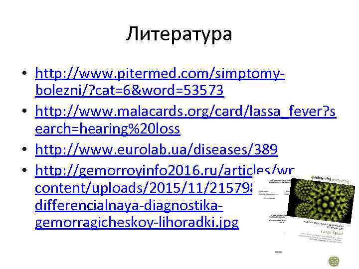 Литература • http: //www. pitermed. com/simptomybolezni/? cat=6&word=53573 • http: //www. malacards. org/card/lassa_fever? s earch=hearing%20