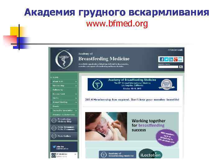 Академия грудного вскармливания www. bfmed. org 