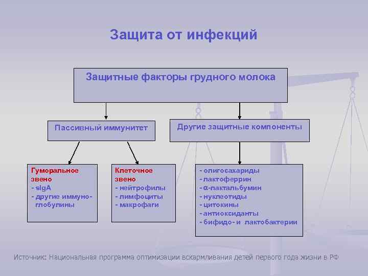 Защита от инфекций Защитные факторы грудного молока Пассивный иммунитет Гуморальное звено - s. Ig.