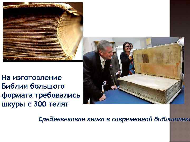 На изготовление Библии большого формата требовались шкуры с 300 телят Средневековая книга в современной