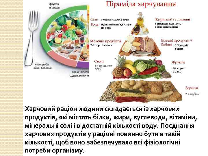 Харчовий раціон людини складається із харчових продуктів, які містять білки, жири, вуглеводи, вітаміни, мінеральні