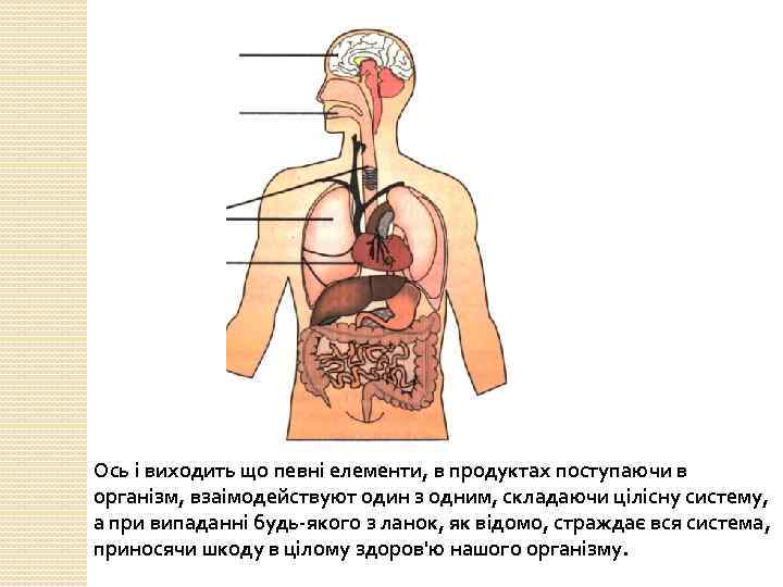 Ось і виходить що певні елементи, в продуктах поступаючи в організм, взаімодействуют один з