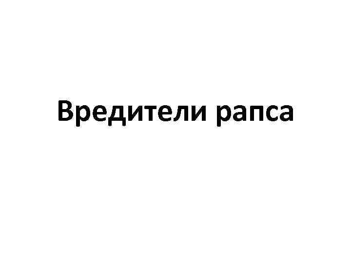 Вредители рапса 