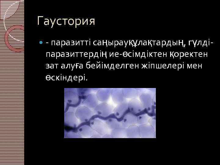 Гаустория - паразитті саңырауқұлақтардың, гүлдіпаразиттердің ие-өсімдіктен қоректен зат алуға бейімделген жіпшелері мен өскіндері. 