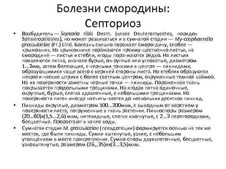  • • • Болезни смородины: Септориоз Возбудитель — Septoria ribis Desm. (класс Deuteromycetes,