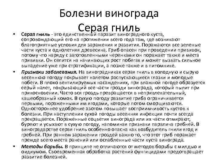  • • • Болезни винограда Серая гниль это единственный паразит виноградного куста, сопровождающий