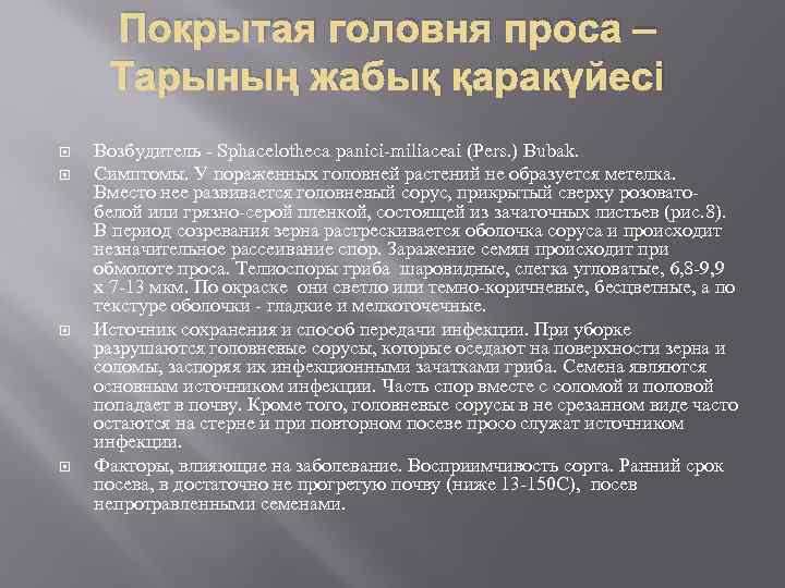 Покрытая головня проса – Тарының жабық қаракүйесі Возбудитель - Sphacelotheca panici-miliaceai (Pers. ) Bubak.