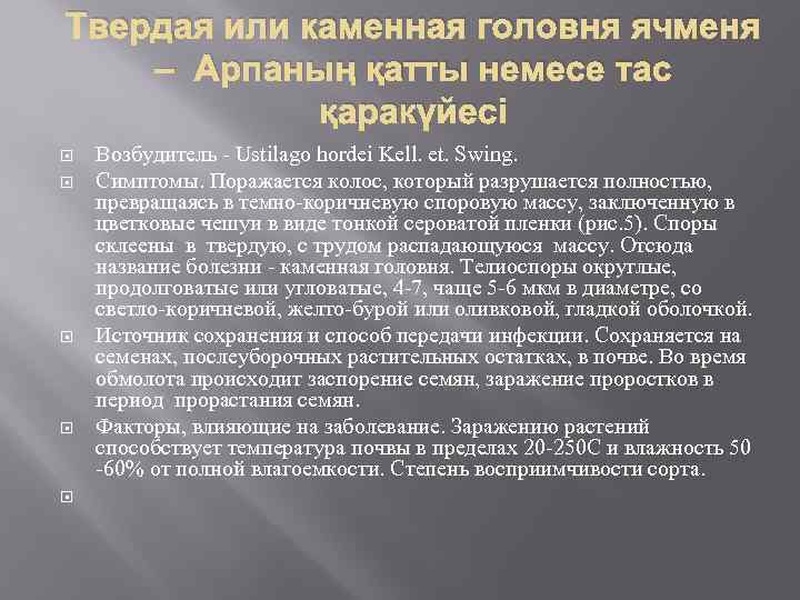Твердая или каменная головня ячменя – Арпаның қатты немесе тас қаракүйесі Возбудитель - Ustilago