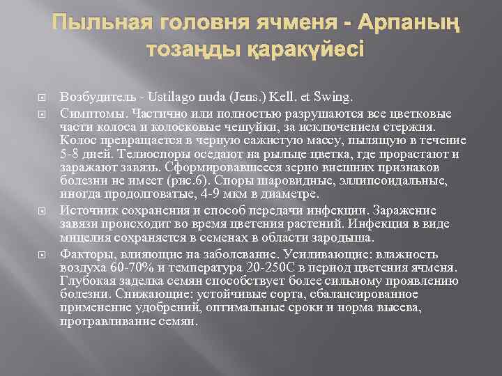 Пыльная головня ячменя - Арпаның тозаңды қаракүйесі Возбудитель - Ustilago nuda (Jens. ) Kell.
