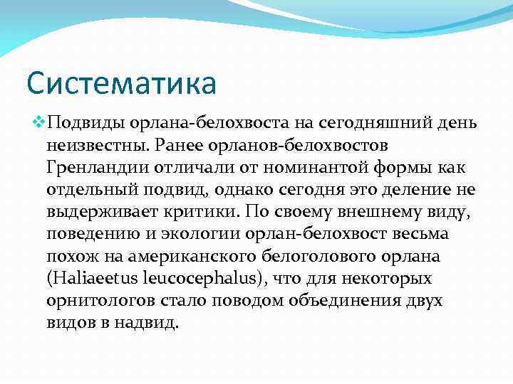 Систематика v. Подвиды орлана-белохвоста на сегодняшний день неизвестны. Ранее орланов-белохвостов Гренландии отличали от номинантой