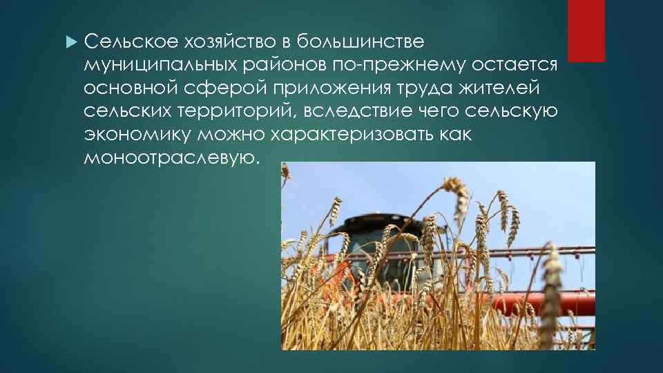 Сельское хозяйство в большинстве муниципальных районов по-прежнему остается основной сферой приложения труда жителей