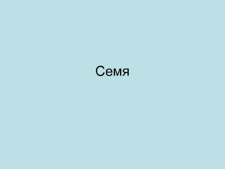 Семя 