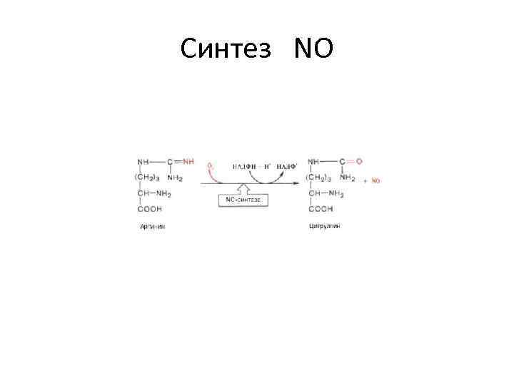 Синтез NO 