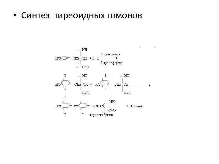  • Синтез тиреоидных гомонов 