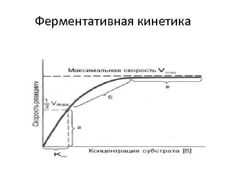 Ферментативная кинетика 