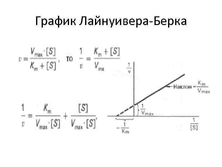 График Лайнуивера-Берка 