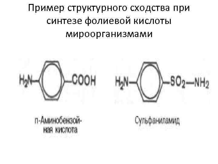 Пример структурного сходства при синтезе фолиевой кислоты мироорганизмами 