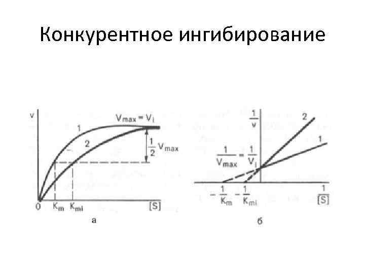 Схема конкурентного ингибирования