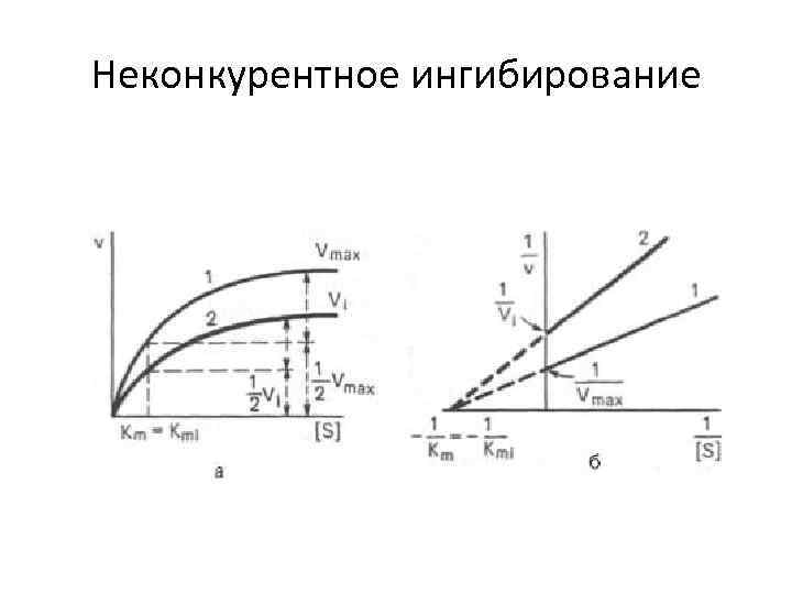 Неконкурентное ингибирование схема