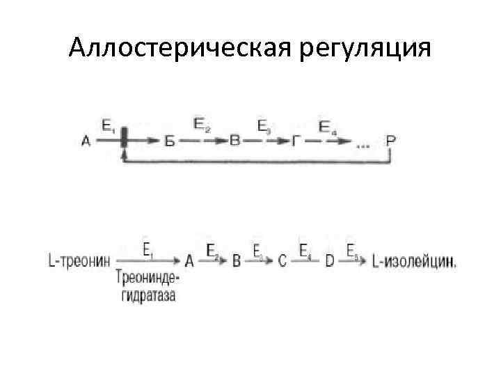 Аллостерическая регуляция 