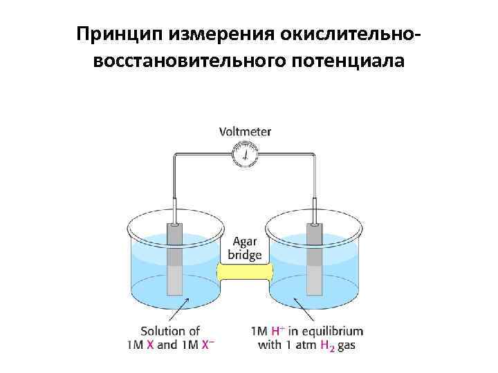 Принцип измерения окислительновосстановительного потенциала 