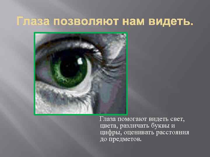 Глаза позволяют нам видеть. Глаза помогают видеть свет, цвета, различать буквы и цифры, оценивать