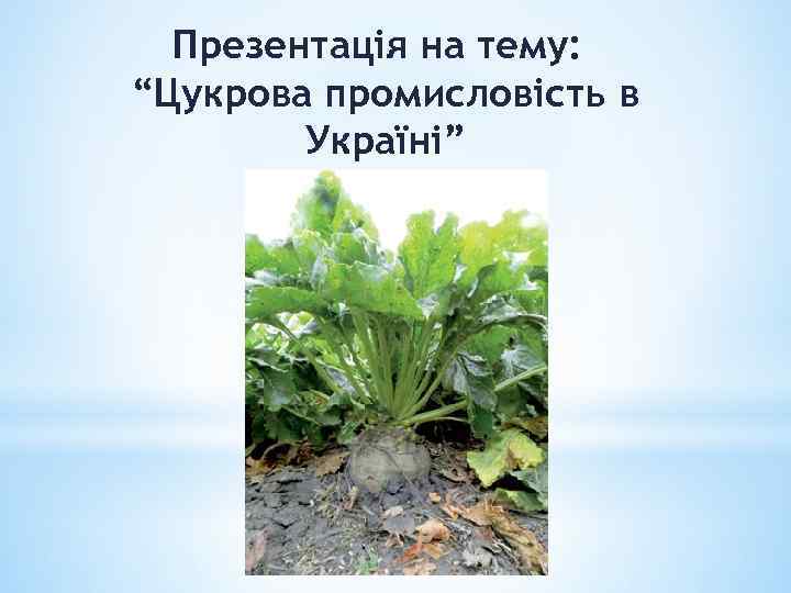 Презентація на тему: “Цукрова промисловість в Україні” 