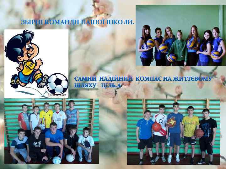 ЗБІРНІ КОМАНДИ НАШОЇ ШКОЛИ. 