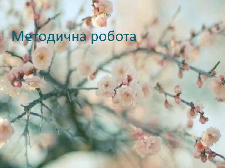 Методична робота 