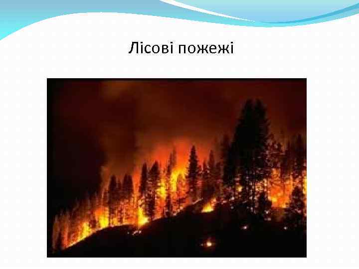 Лісові пожежі 