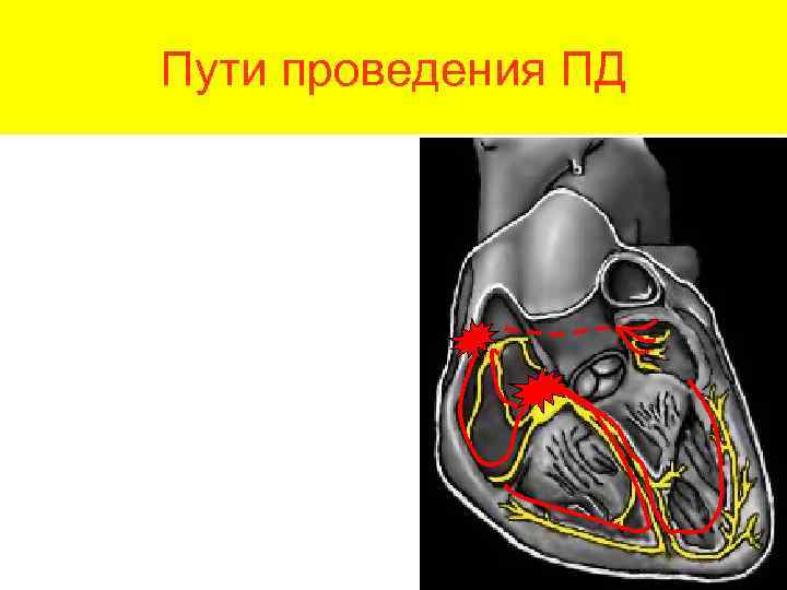 Пути проведения ПД 